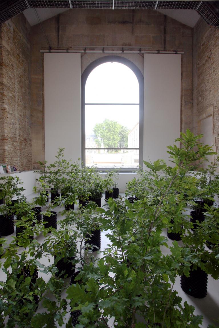 Vue de l’exposition 7 000 oaks, 7 000 chênes, beuys et ackroyd harvey, La Maréchalerie, 2014 © ackroyd&harvey