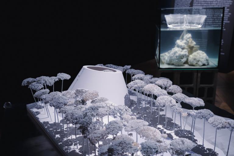 Prix Charles Abella Crédit photo : Rachel Rouzaud